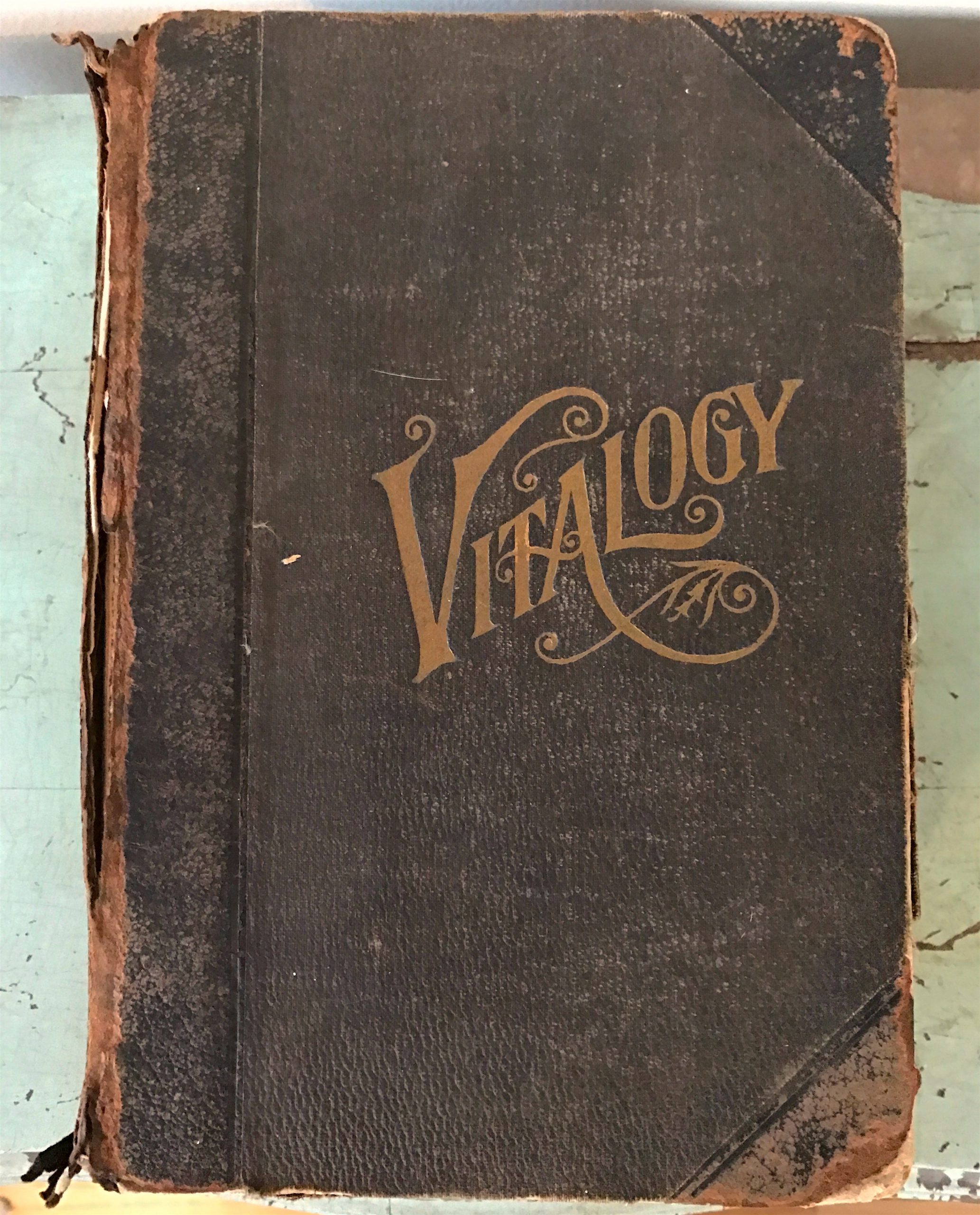 Vitalogy Book - M. A. Donohue