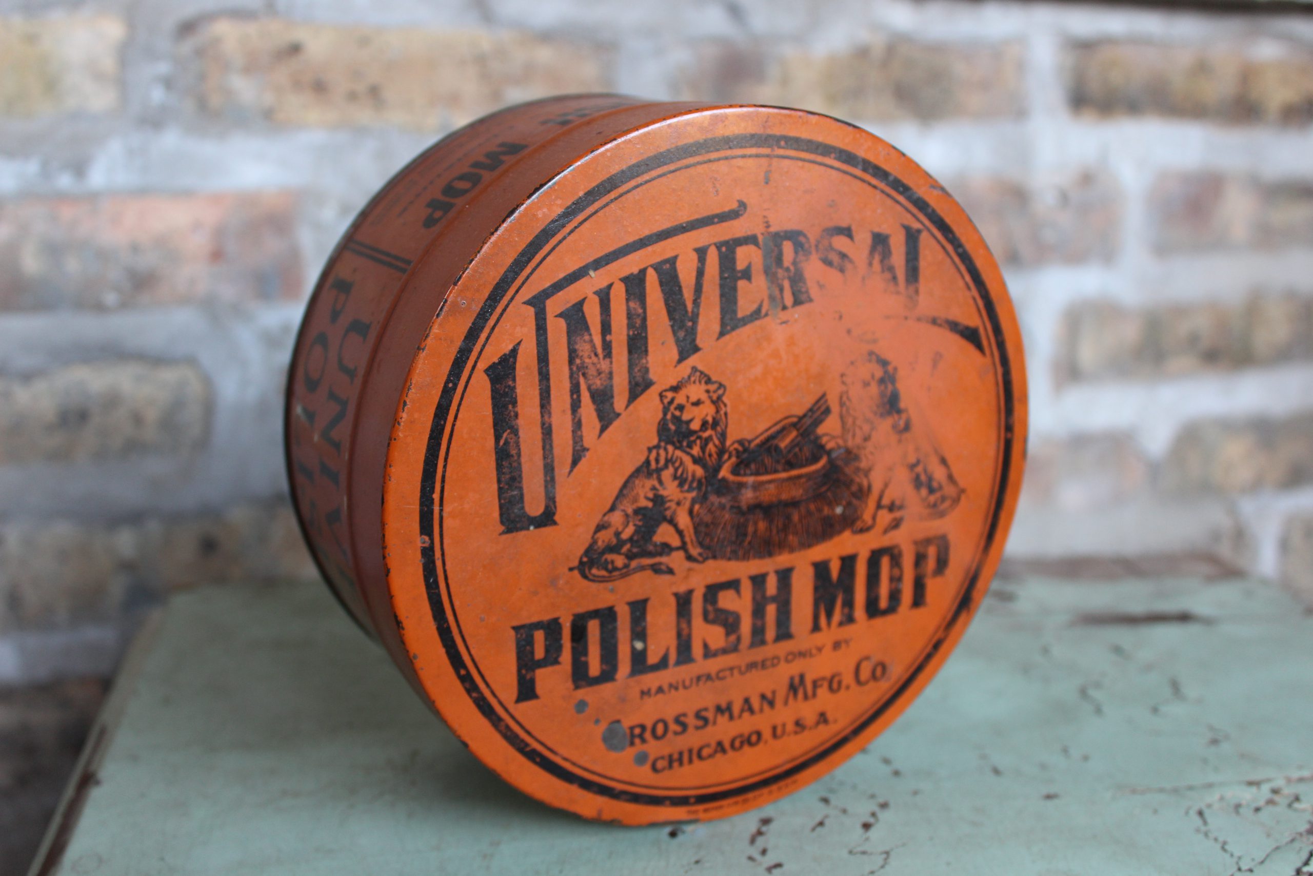 Universal Polish Mop